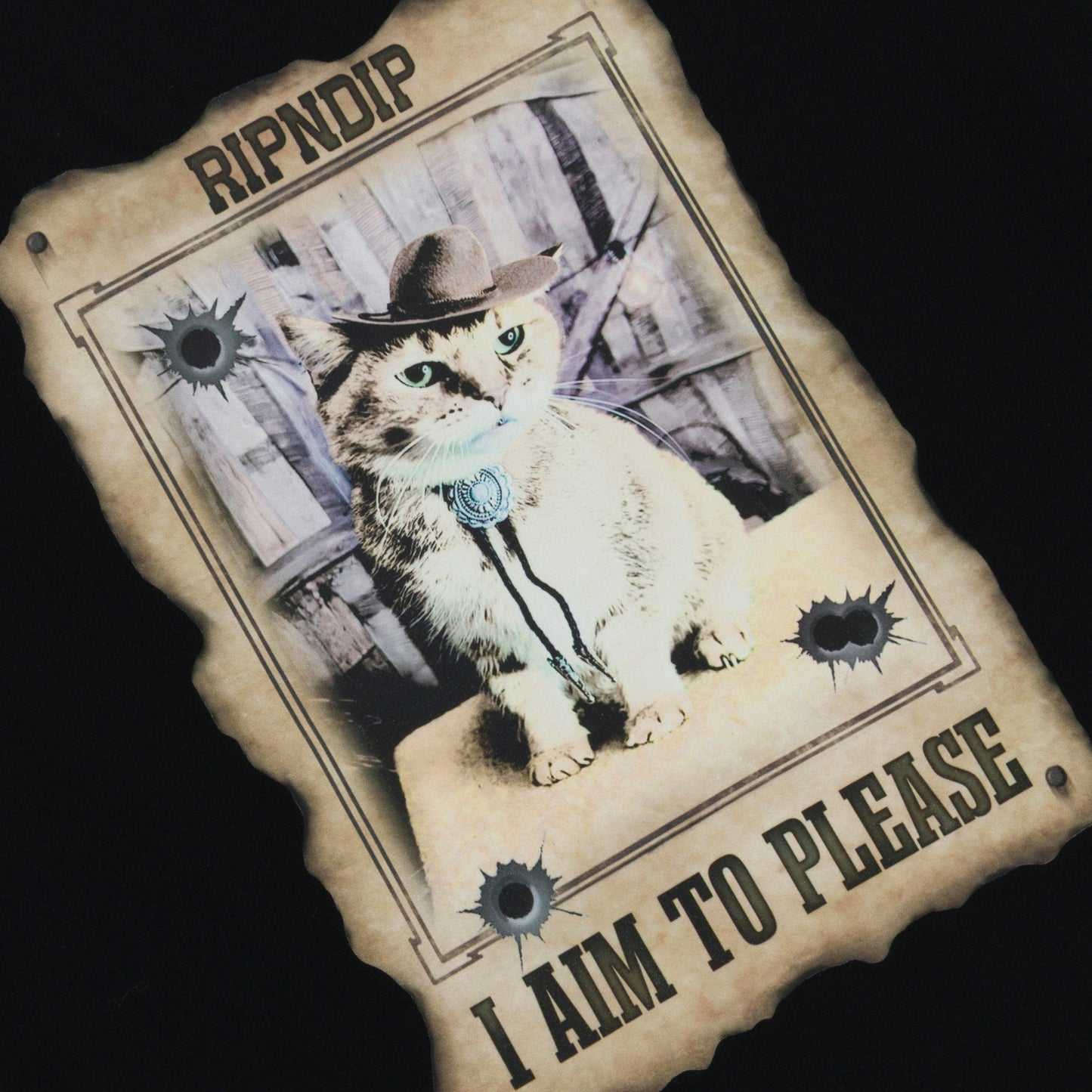 Most Wanted Tee (Black) - Ripndip