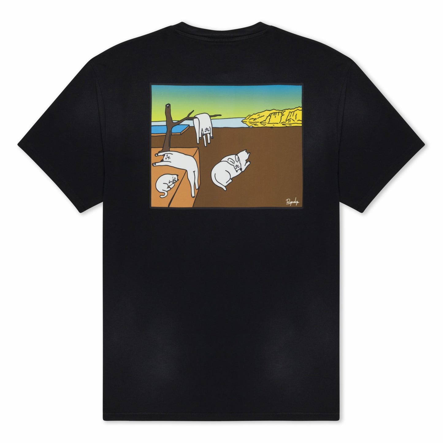 Nermali Tee (Black Vintage Wash) - Ripndip