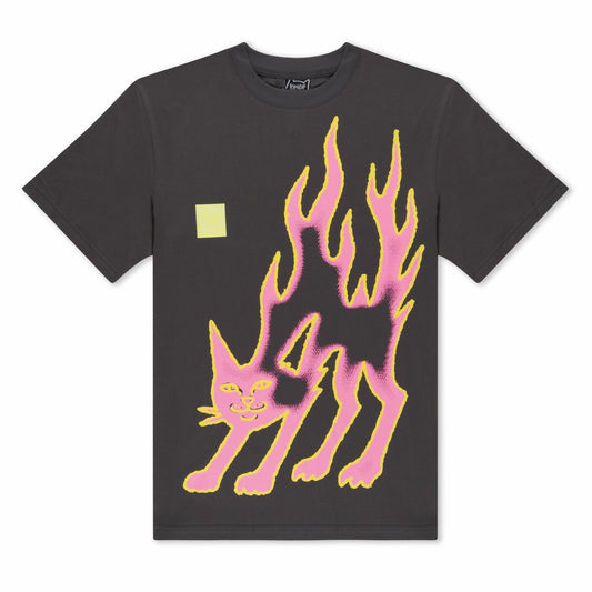 Lakai + Ripndip Pink Flame Tee (Gray) - Ripndip