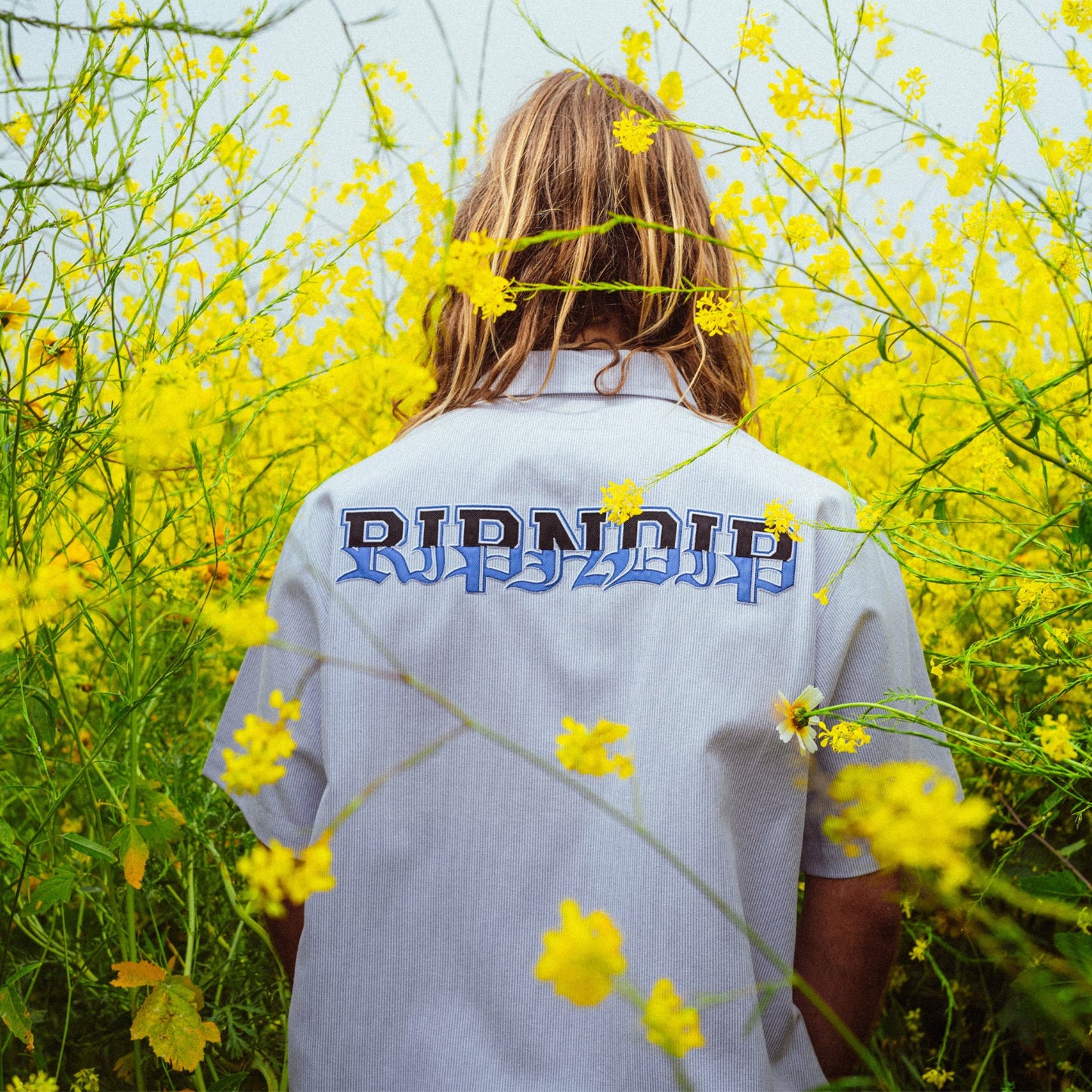 Rich Spirit Quarter Zip Shirt (Light Blue) - Ripndip