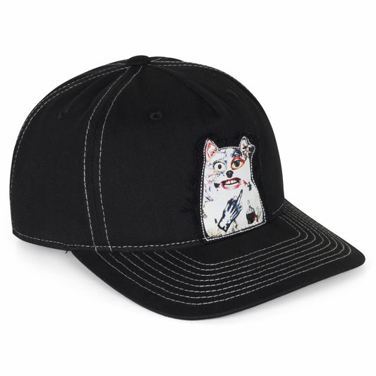 Lord Nermal Collage Snapback (Black) - Ripndip