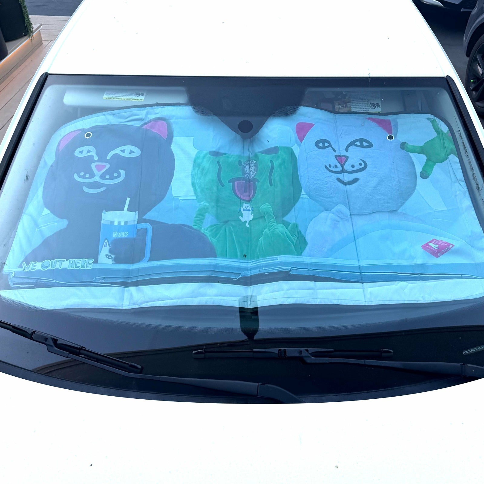 Real Photo Car Shade (Multi) - Ripndip
