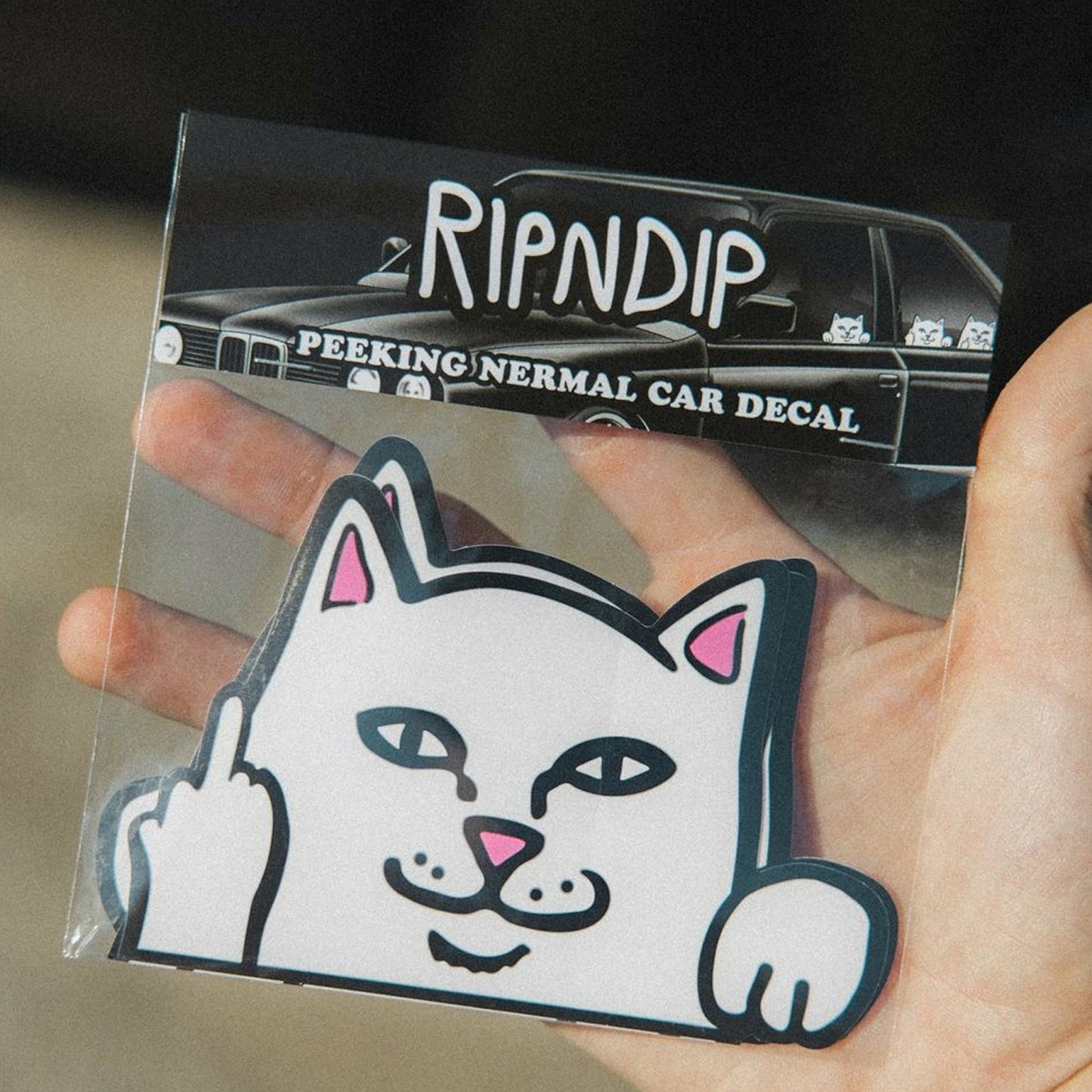 Peeking Nermal Car Sticker Pack (White) - Ripndip