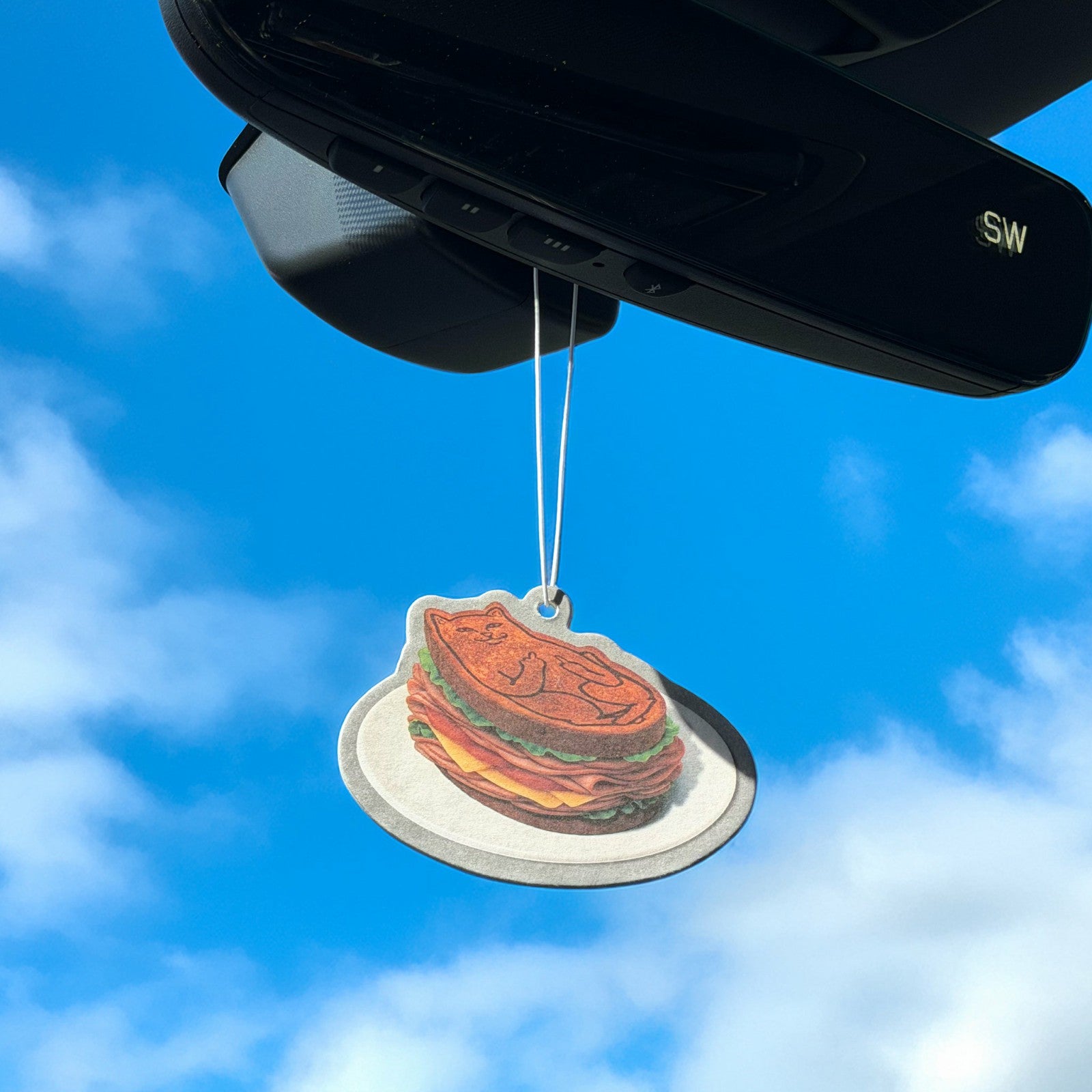 Best Meat Air Freshener (Multi) - Ripndip