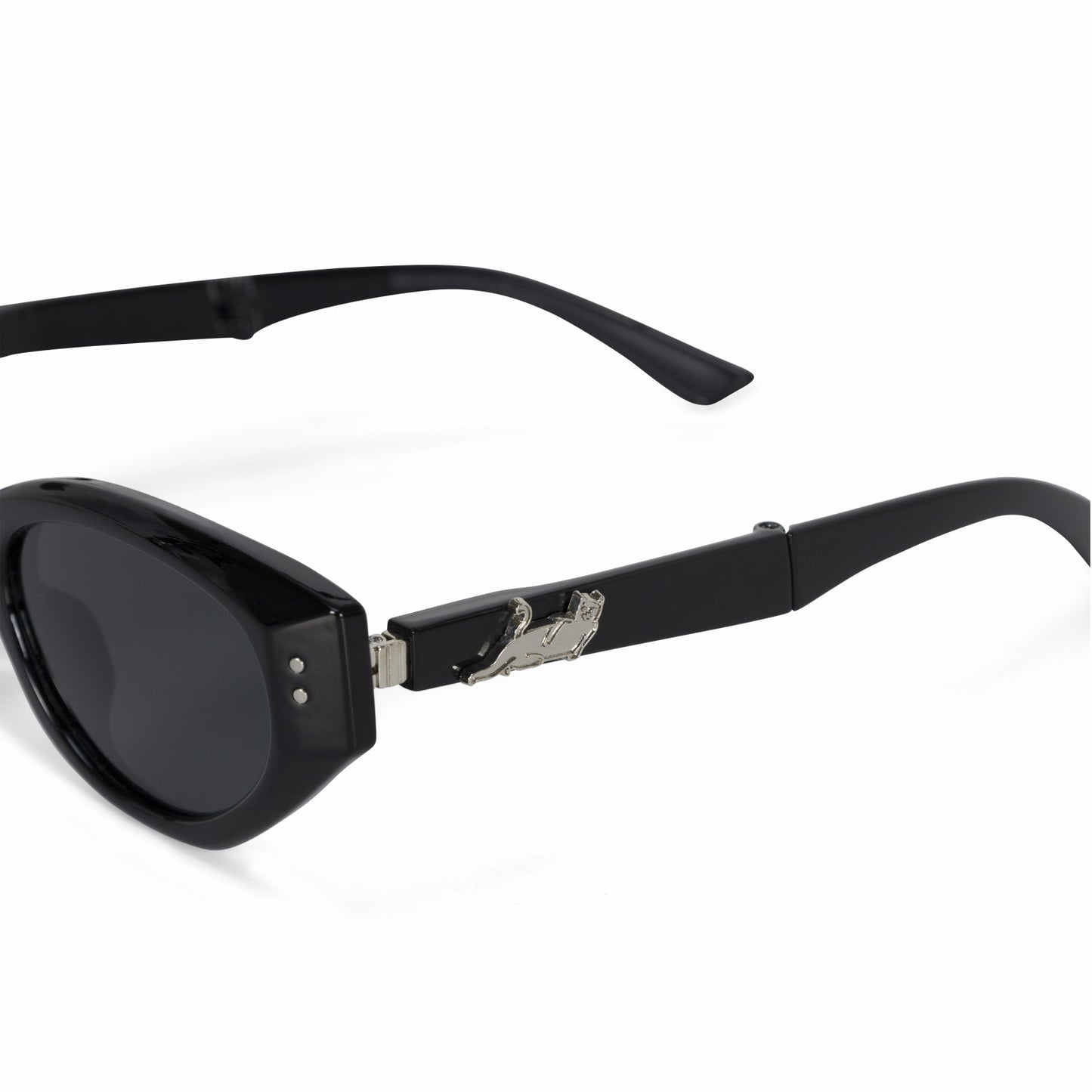 Castanza Folding Sunglasses (Black) - Ripndip