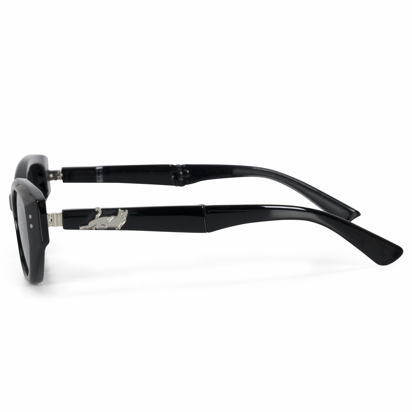 Castanza Folding Sunglasses (Black) - Ripndip
