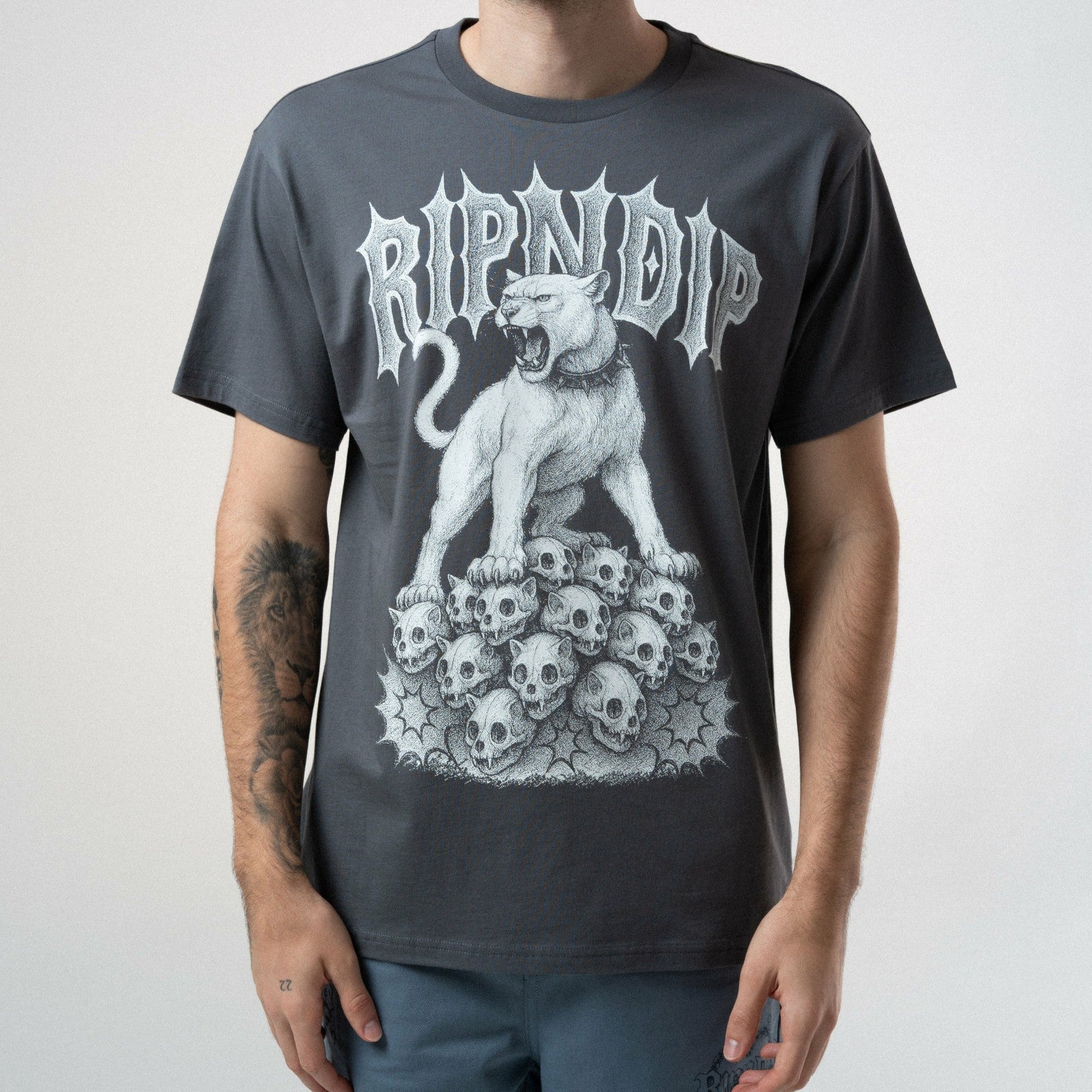 Wasteland Tee (Charcoal) - Ripndip