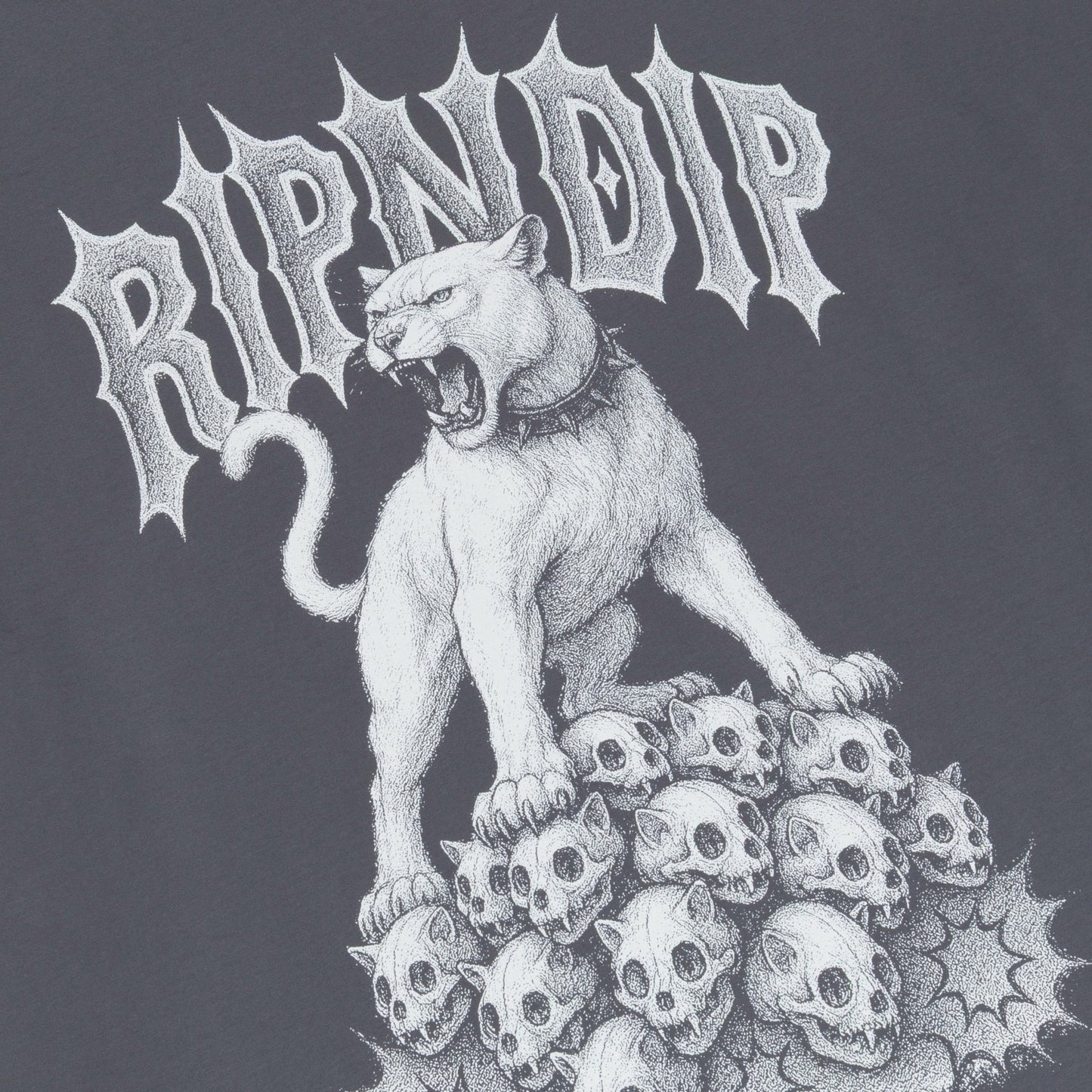Wasteland Tee (Charcoal) - Ripndip
