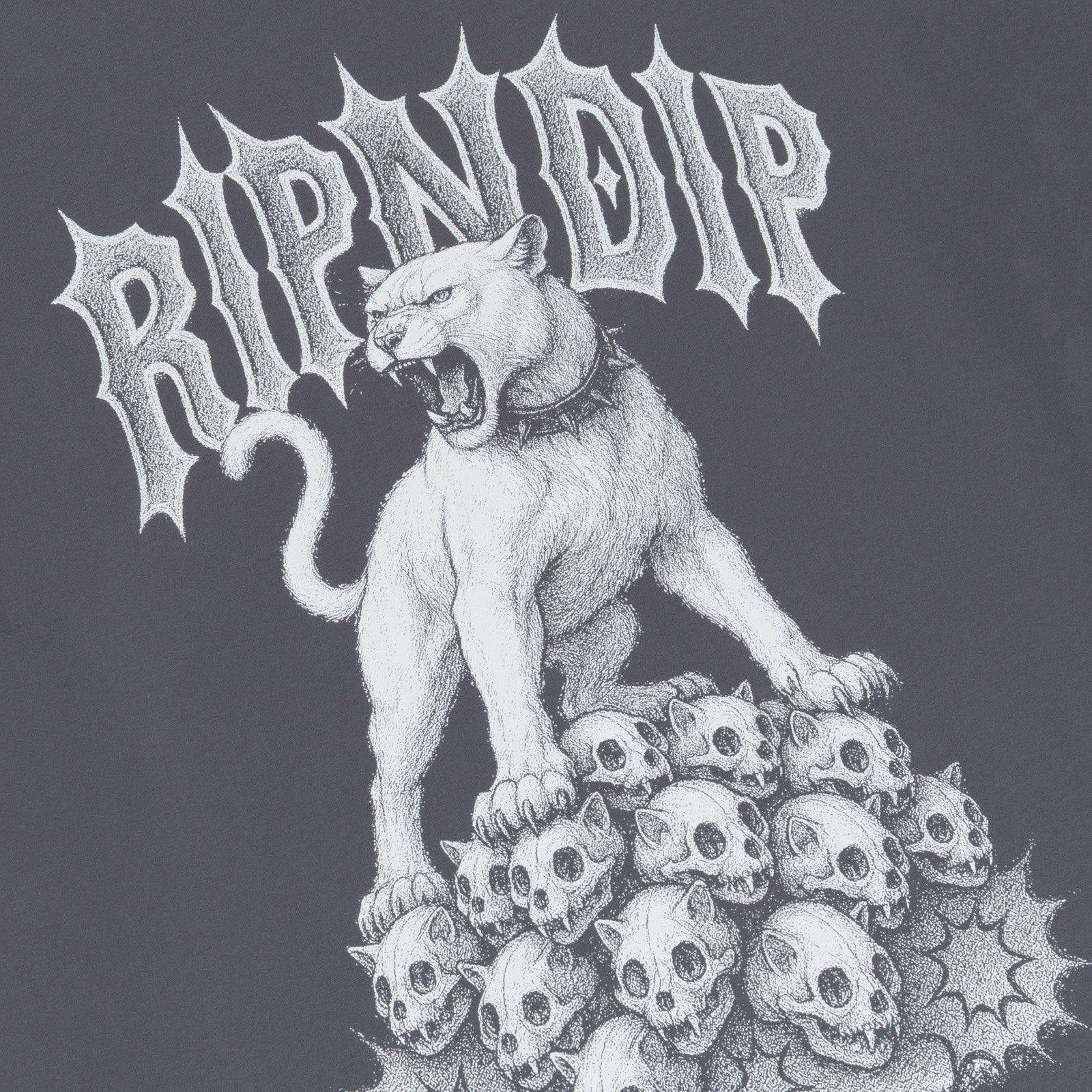 Wasteland Tee (Charcoal) - Ripndip
