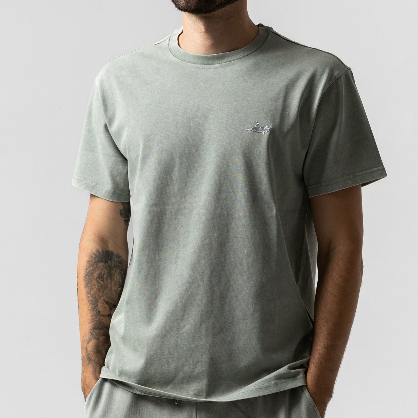 Castanza Short Sleeve Tee (Sage Vintage Wash) - Ripndip