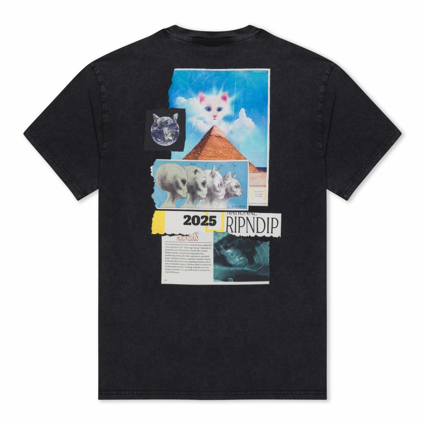 Nerm Geo Tee (Black Vintage Wash) - Ripndip