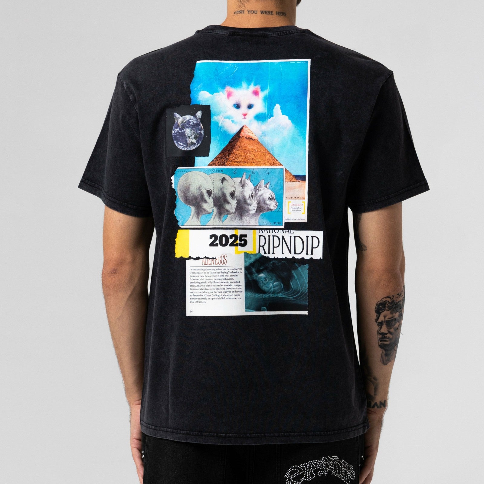 Nerm Geo Tee (Black Vintage Wash) - Ripndip