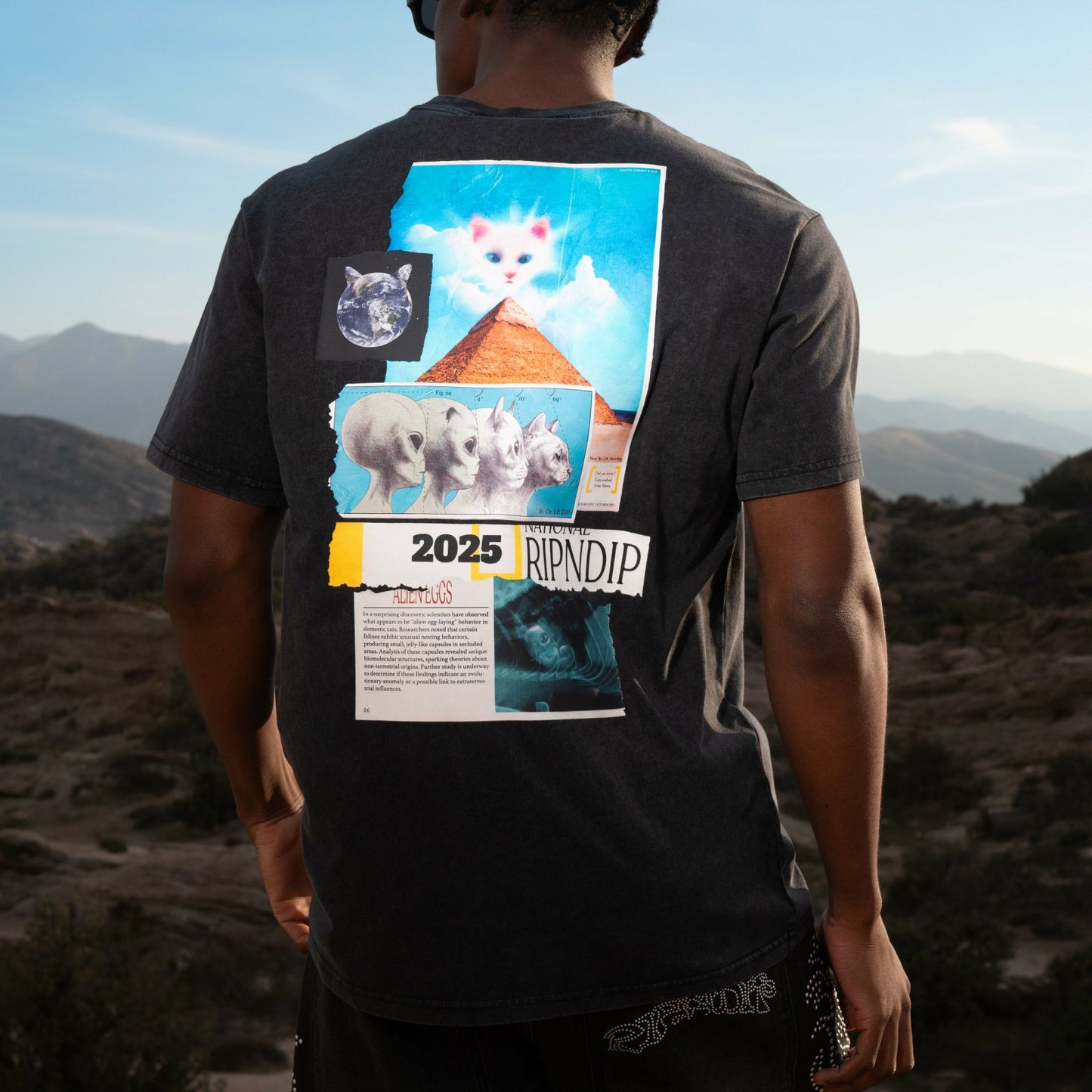 Nerm Geo Tee (Black Vintage Wash) - Ripndip
