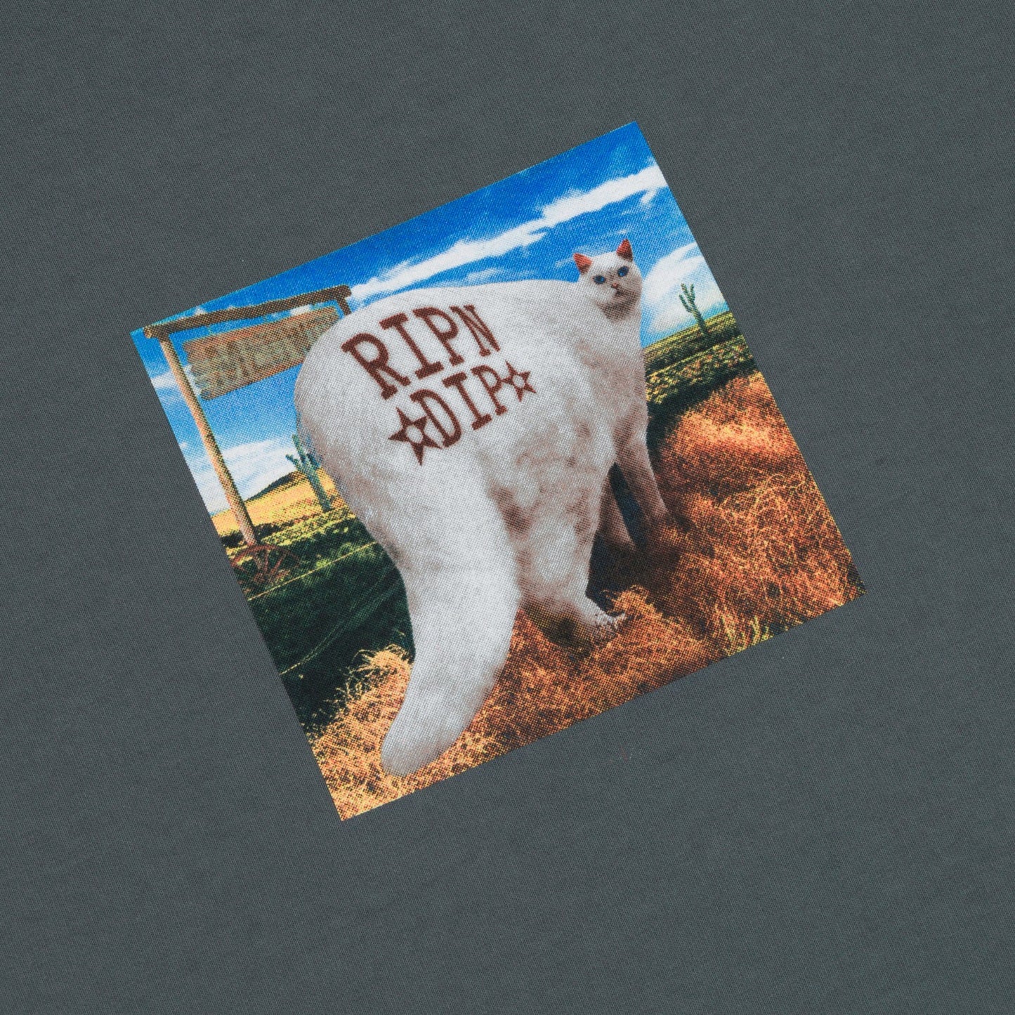 Rowdy Howdy Tee (Charcoal) - Ripndip